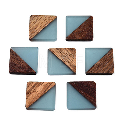 Resin & Walnut Wood Cabochons RESI-S358-90F-1