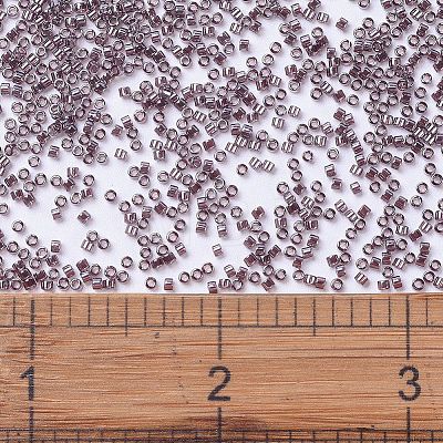 MIYUKI Delica Beads X-SEED-J020-DB1224-1