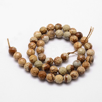 Natural Picture Jasper Beads Strands G-D840-47-10mm-1