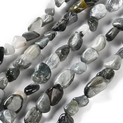 Natural Eagle Eye Stone Beads Strands G-P497-01C-52-1