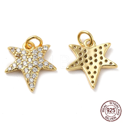 925 Sterling Silver Micro Pave Cubic Zirconia Charms STER-I010-36G-1