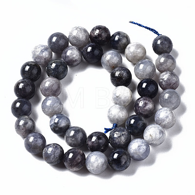 Natural Iolite Beads Strands G-N328-50C-01-1