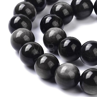Natural Silver Obsidian Beads Strands X-G-D083-01A-1
