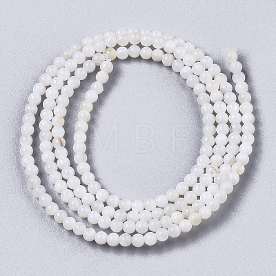 Natural Freshwater Shell Beads Strands BSHE-T009-01F-1