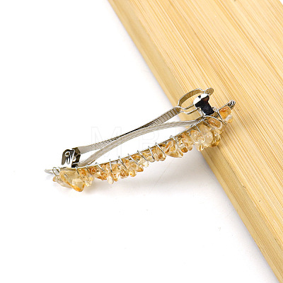 Alloy Hair Barrettes PW-WG062DF-01-1