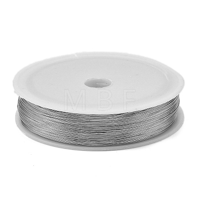 Baking Painted Iron Wire MW-NH0001-02D-1