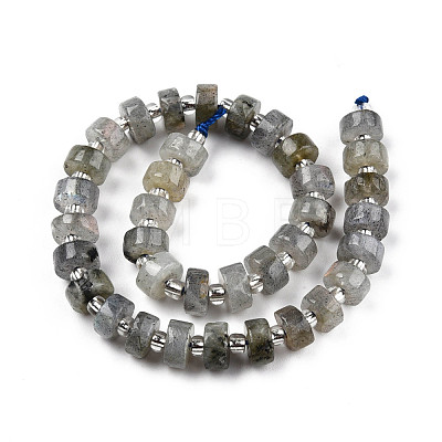 Natural Labradorite Beads Strands G-N327-07A-1