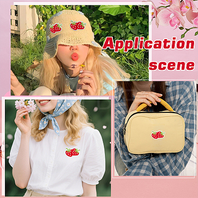 30Pcs Strawberry Computerized Embroidery Cloth Iron on/Sew on Patches PATC-FG0003-73B-1