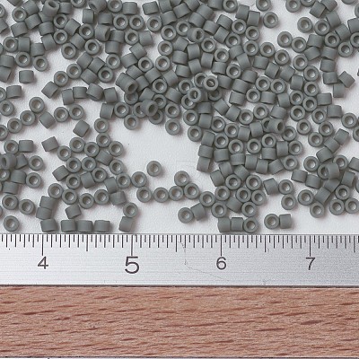 MIYUKI Delica Beads X-SEED-J020-DB0761-1