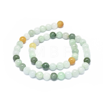 Natural Jadeite Beads Strands G-G789-01B-1