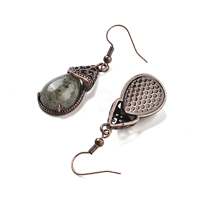 Natural Labradorite Teardrop Dangle Earrings EJEW-B055-01R-22-1