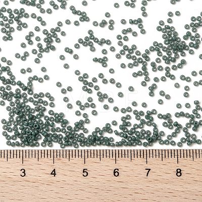MIYUKI Round Rocailles Beads X-SEED-G009-RR4481-1