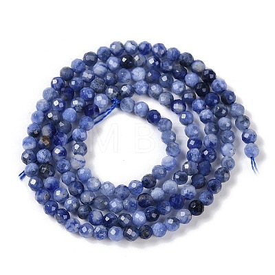 Natural Sodalite Beads Strands G-G139-A07-02-1