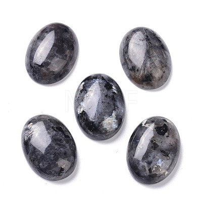Natural Black Larvikite Cabochons X-G-Z020-10-1