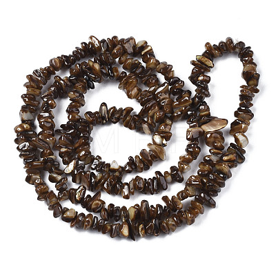 Natural Freshwater Shell Beads Strands SHEL-S278-070A-1