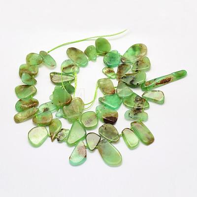 Natural Chrysoprase Beads Strands G-G695-03-1