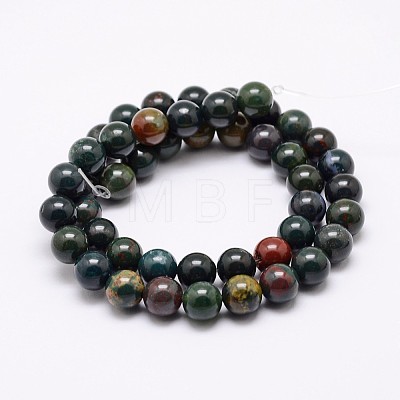 Natural Indian Bloodstone Beads Strands G-P257-07-10mm-1