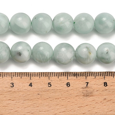 Glass Beads Strands G-L642-B18-12mm-1
