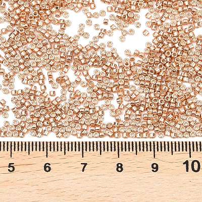 MIYUKI Delica Beads LS-X-SEED-J020-DB2518-1