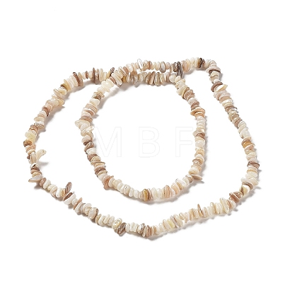 Natural Freshwater Shell Beads Strands X-G-M205-85B-1
