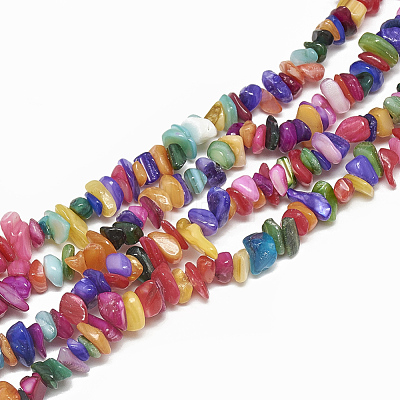 Freshwater Shell Beads Strands SHEL-S270-01-1