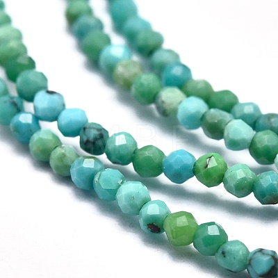 Natural HuBei Turquoise Beads Strands G-M353-A17-2mm-1