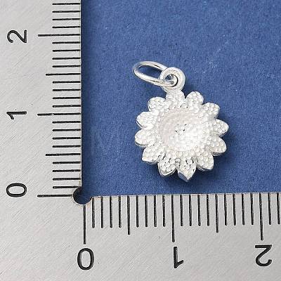 S925 Sterling Silver Charm STER-H115-11C-S-1