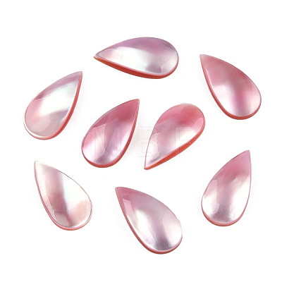 Natural Turbo Cornulus/Top Shells Cabochons SSHEL-N003-156B-1