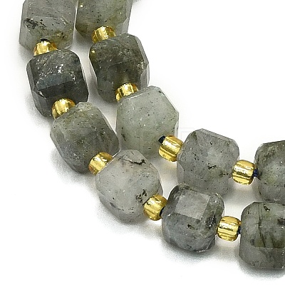 Natural Labradorite Beads Strands G-I376-D31-01-1