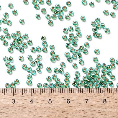 TOHO Round Seed Beads SEED-TR08-0755-1