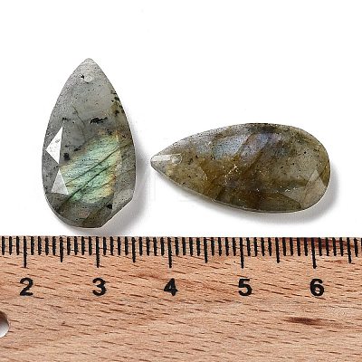 Natural Labradorite Faceted Pendants G-D082-01B-1