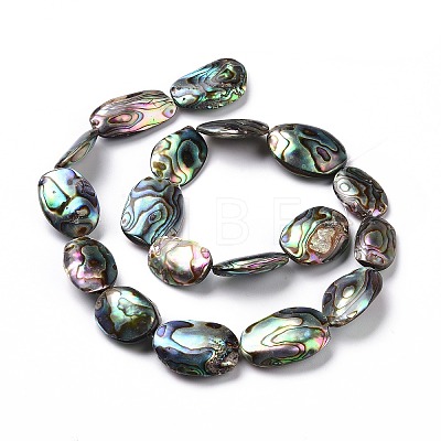 Natural Abalone Shell/Paua Shell Beads SSHEL-E379-1-1