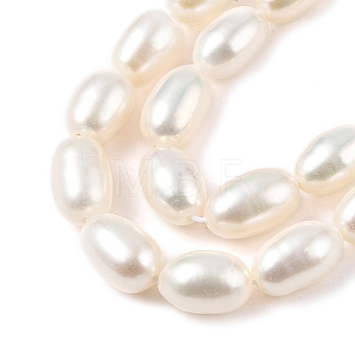 Natural Cultured Freshwater Pearl Beads Strands PEAR-I007-01C-03A-1