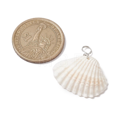 Natural Ark Shell Pendants PALLOY-JF02679-02-1