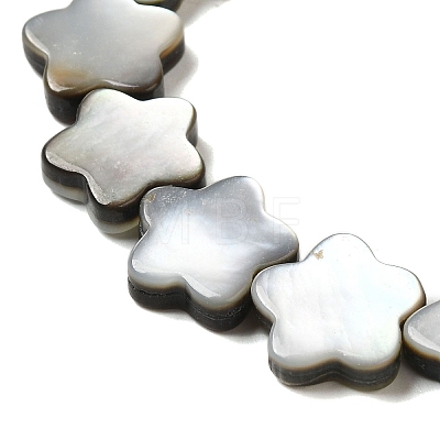 Natural Black Lip Shell Beads Strands SHEL-M021-02A-1