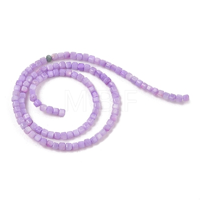 Natural Freshwater Shell Dyed Beads Strands SHEL-R100-11A-04-1