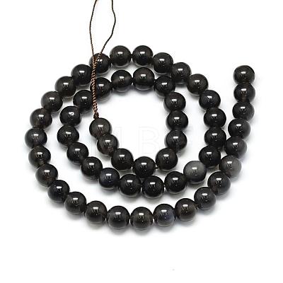 Natural Obsidian Beads Strands G-S150-15-6mm-1