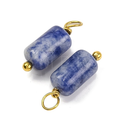 Natural Sodalite Cloumn Pendants STAS-H221-04G-06-1