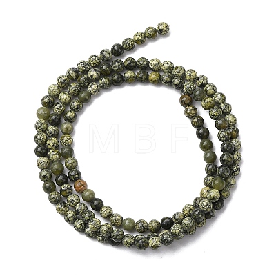 Natural Serpentine/Green Lace Stone Beads Strands G-Z116-A16-3mm-1