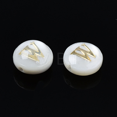 Natural Freshwater Shell Beads SHEL-S278-036W-1