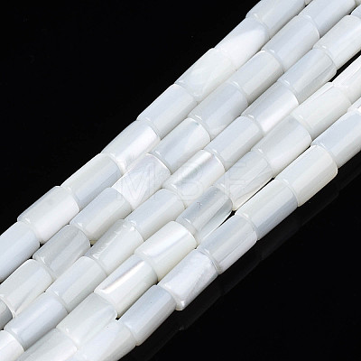 Natural Freshwater Shell Beads Strands X-SHEL-N003-26-A01-1