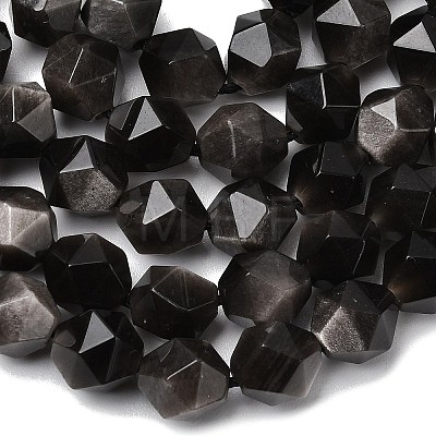 Natural Silver Obsidian Beads Strands G-Z119-A11-02-1