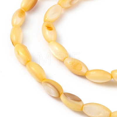 Natural Freshwater Shell Dyed Beads Strands SHEL-M018-13-09-1