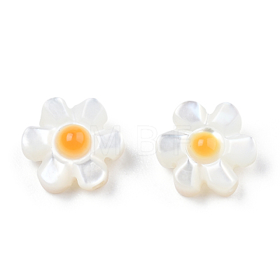 Natural White Shell Enamel Beads SSHEL-N034-125B-01-1
