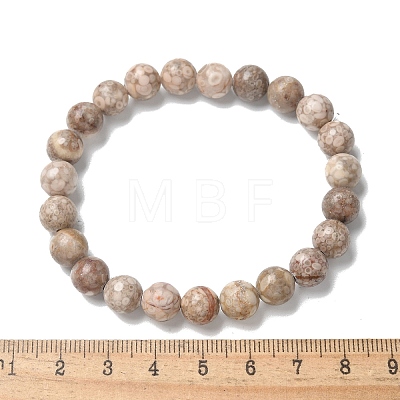 Natural Maifanite/Maifan Stone Bead Stretch Bracelets X-BJEW-K212-B-044-1