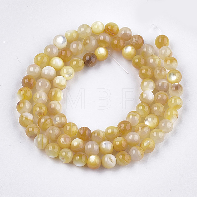 Yellow Shell Beads Strands SHEL-S274-93D-1