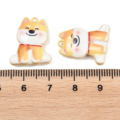 Alloy Pendants FIND-E055-03B-1