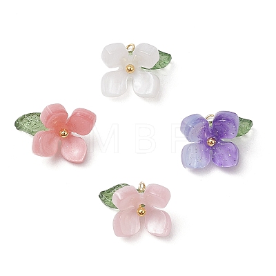 4Pcs 4 Colors Resin Pendants PALLOY-TA00213-01-1