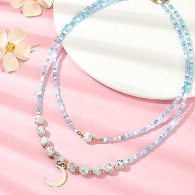 2Pcs 2 Style Glass Seed Beaded Necklaces NJEW-JN04379-1