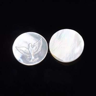 Natural White Shell Cabochons SSHEL-D083-09-1